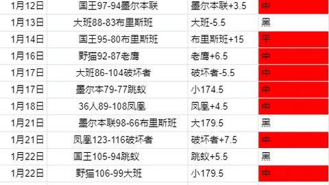 马雷斯卡指出：开赛表现良好，不必每场均依赖帕尔默发挥
